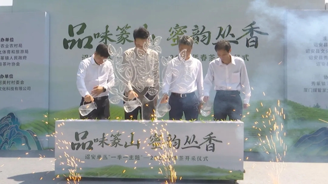 詔安縣委副書記張宸琿、副縣長楊俊乾與秀篆鎮(zhèn)、縣茶葉協(xié)會負(fù)責(zé)人共同完成“水潤茶苗”澆筑儀式