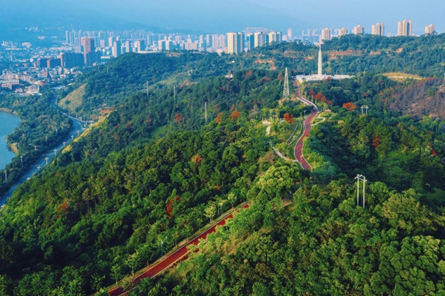 鳳山綠道。黃東華攝
