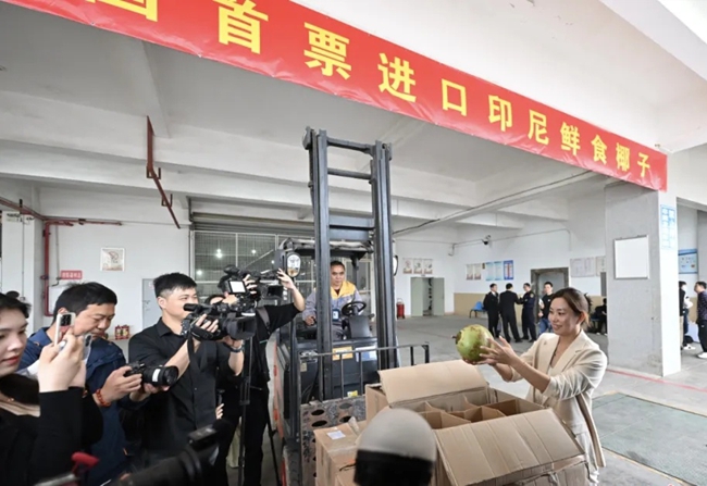 全國首票進口的印尼鮮食椰子抵達福州
