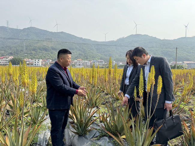 工作人員深入種植園了解企業(yè)需求。農(nóng)行莆田荔城支行供圖