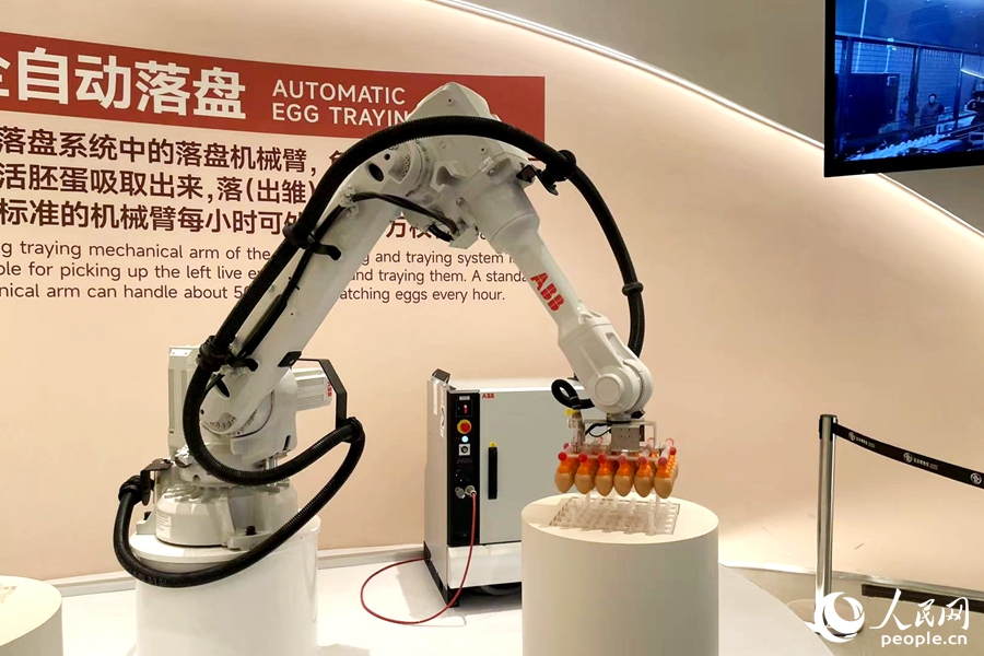 自動化流水線應用為生產帶來提速。人民網(wǎng)記者 林盈攝