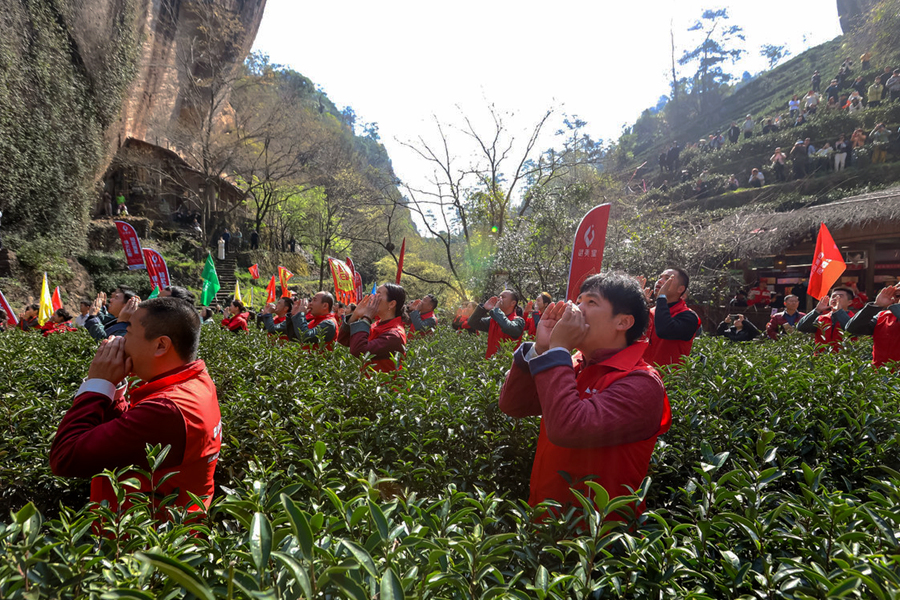 每年春天，武夷山各地都會舉行“喊山祭茶”活動(dòng)。武夷山市融媒體中心供圖
