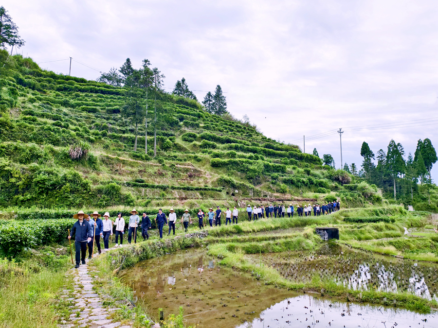 年輕干部重走“黨群連心路”。寧德市委組織部供圖
