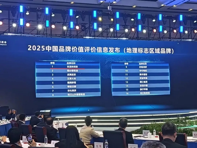 安溪鐵觀音以1443.07億元的品牌價(jià)值和899的品牌強(qiáng)度，位列區(qū)域品牌第一位