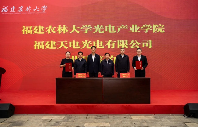 與天電光電簽訂共建協(xié)議。葉超攝