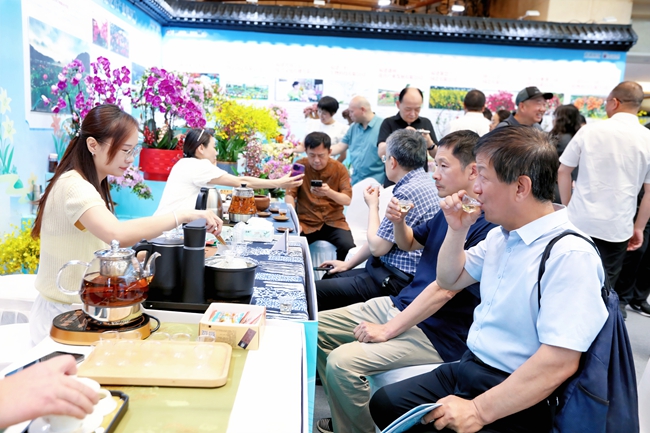 游客品嘗周寧高山云霧茶。湯文娟攝