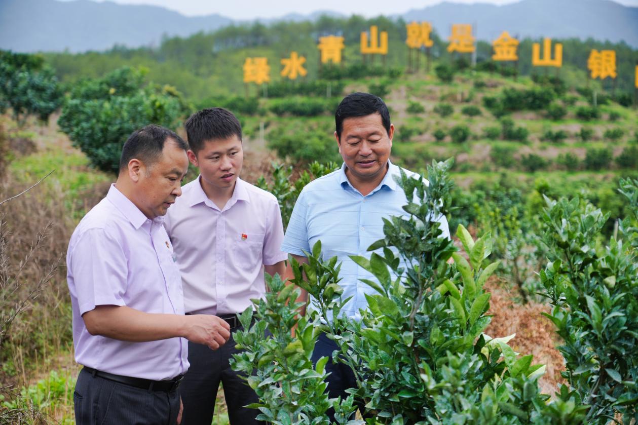 農(nóng)行龍巖分行客戶經(jīng)理深入長汀縣三洲鎮(zhèn)豐盈農(nóng)場調(diào)研