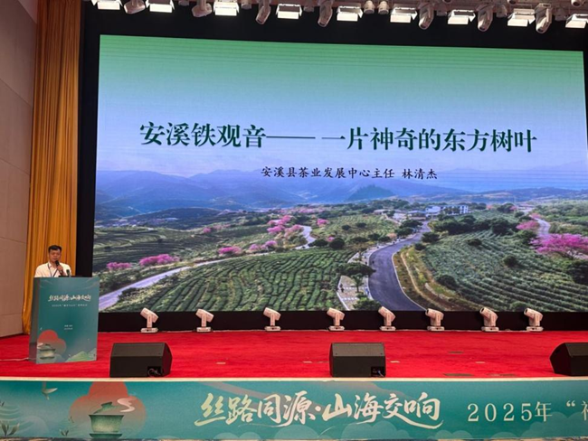 安溪縣茶業(yè)發(fā)展中心主任林清杰推介安溪鐵觀音