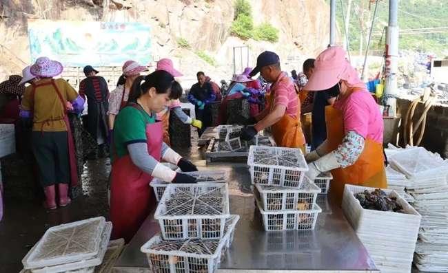 分裝鮑魚(yú)