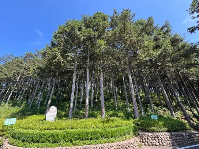 黃振芳家庭林場(chǎng)