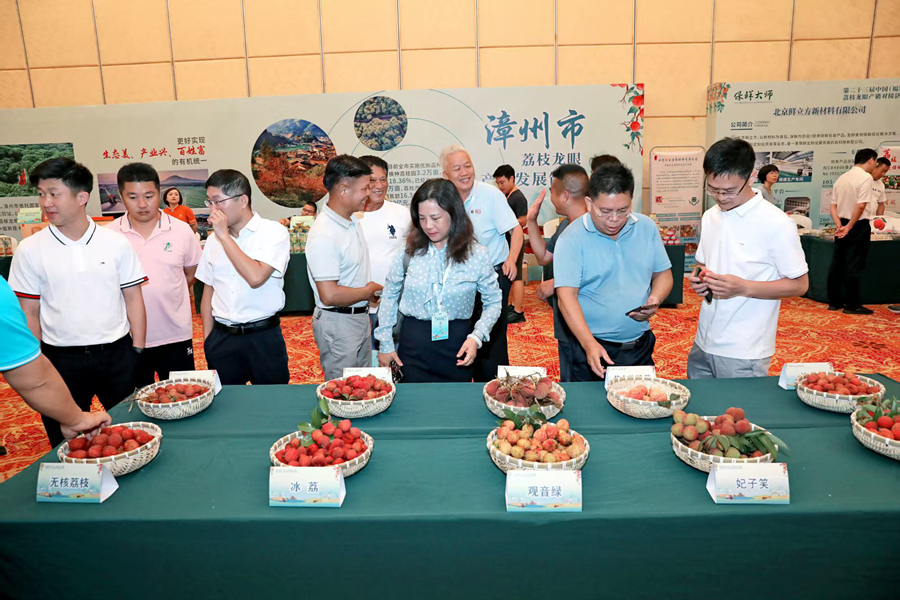 活動(dòng)現(xiàn)場(chǎng)展出各類荔枝、龍眼。漳州市農(nóng)業(yè)農(nóng)村局供圖