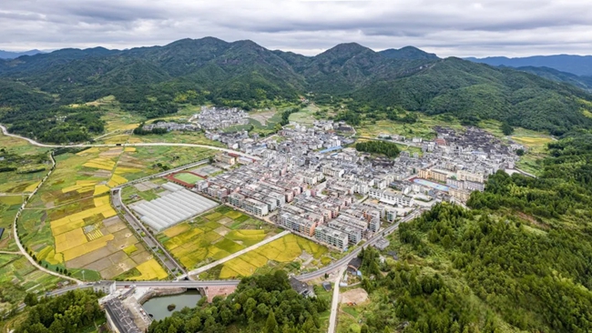 禮門鄉(xiāng)全景。陳兆瑜攝
