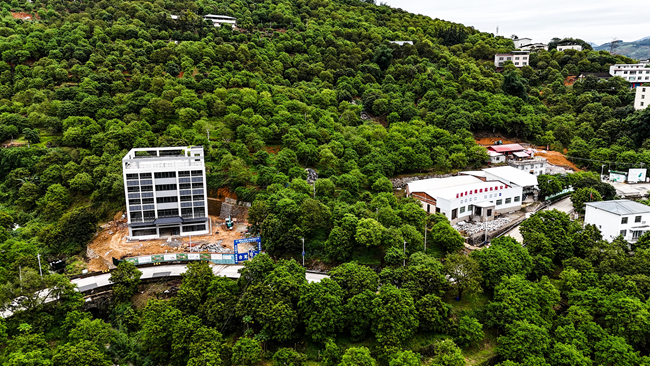 福建省青欖食品有限公司橄欖園。工行福州閩清支行供圖