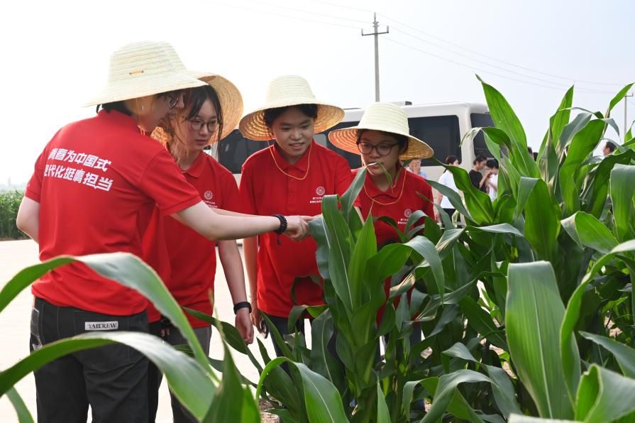 廈門(mén)大學(xué)學(xué)生在田間地頭調(diào)研實(shí)踐