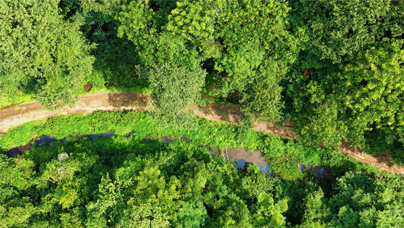 “國寶”之林這樣“養(yǎng)”出來明溪是“最綠省份”福建的“最綠縣”之一。這里有1個國家級自然保護(hù)區(qū)、1個省級自然保護(hù)區(qū)、2個省級森林公園和36個縣級自然保護(hù)小區(qū)。