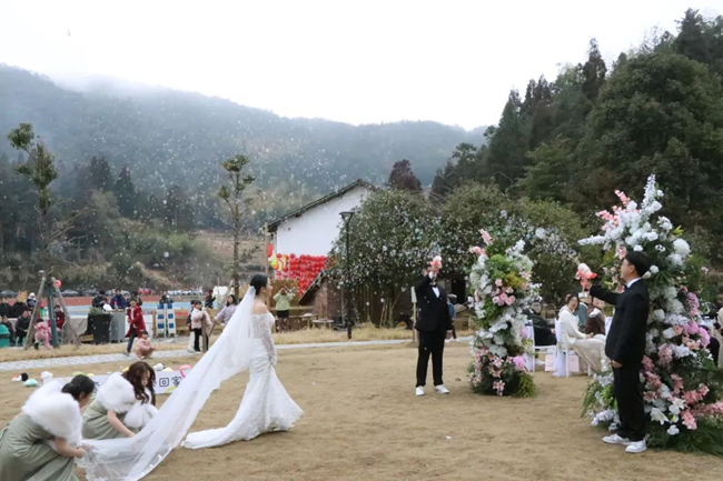 舉辦各類文旅活動