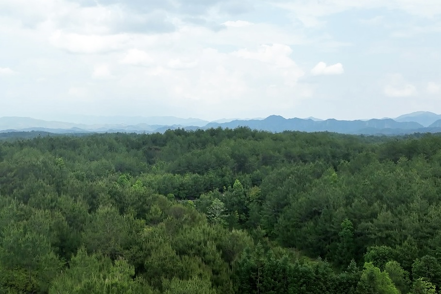 長汀縣羅地草山（2022年）。長汀縣水土保持中心供圖