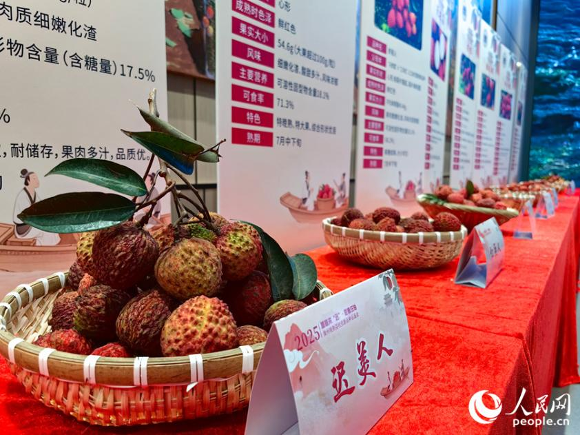 此次活動(dòng)展出漳州30余種晚熟荔枝優(yōu)新品種。人民網(wǎng) 蘇海森攝