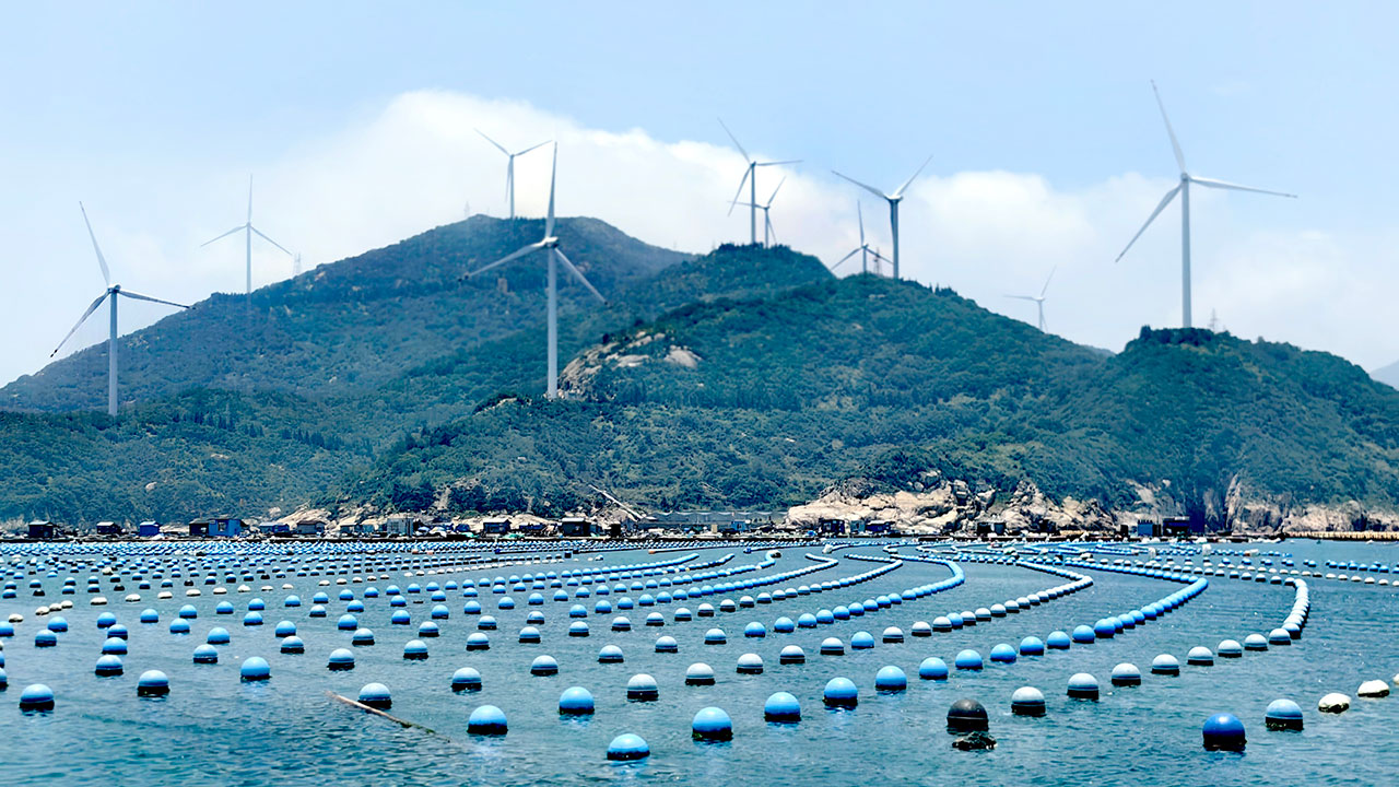 這片“海上牧場” “鮑”發(fā)力十足