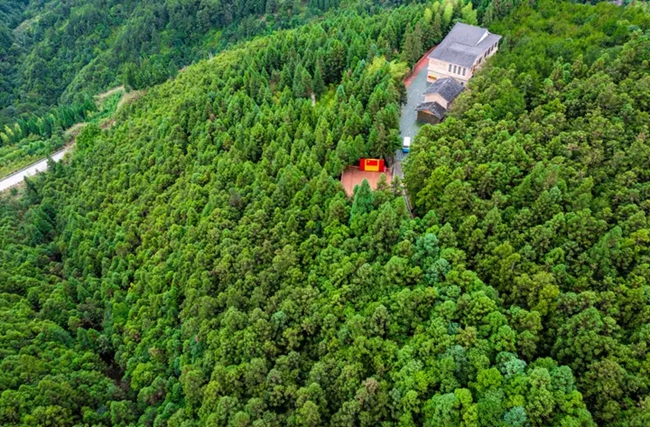 黃振芳家庭林場(chǎng)。王志凌攝