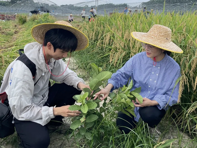 試驗田實現(xiàn)豐收