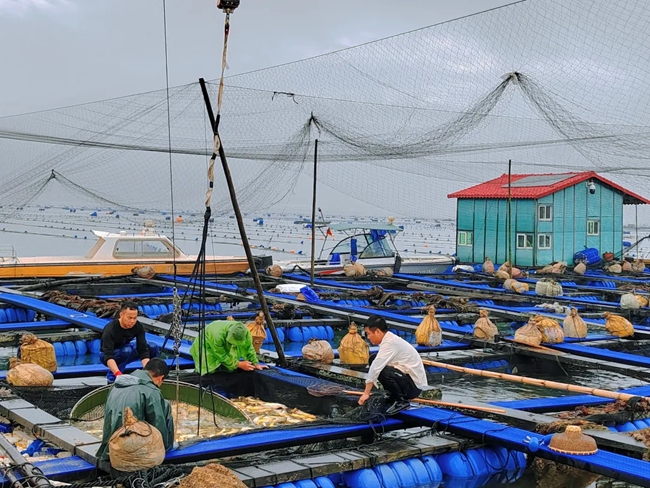 專家講解養(yǎng)殖知識