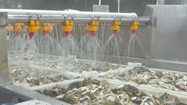 多部門聯(lián)合解決用地、用水、研發(fā)等問題，助力水產(chǎn)生產(chǎn)加工企業(yè)出海