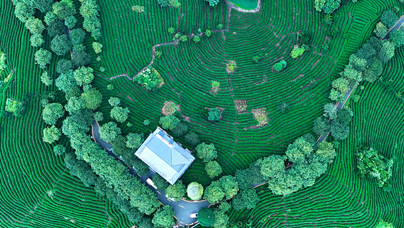 一片“金葉”連兩岸這些年，漳平臺創(chuàng)園開創(chuàng)了10項(xiàng)“全國首創(chuàng)”做法，并連續(xù)8年在全國臺創(chuàng)園建設(shè)發(fā)展考評中獲得第一（優(yōu)秀等次）。