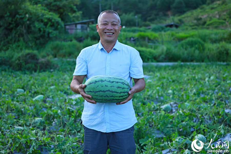 賴武村黨支部書(shū)記賴清發(fā)展示豐收大西瓜。人民網(wǎng) 李昌乾攝