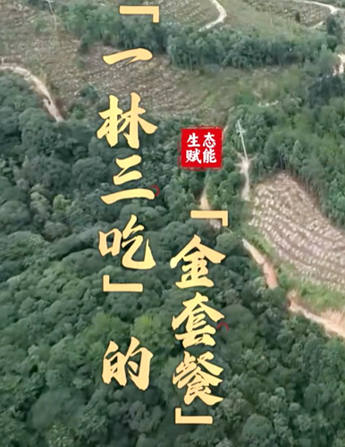 一片林子，除了賣樹還能做什么？