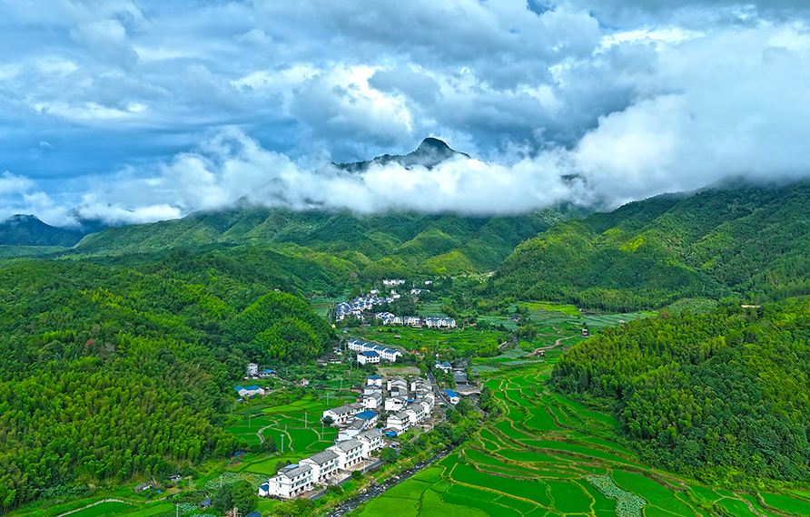 高峰村生態(tài)環(huán)境優(yōu)越