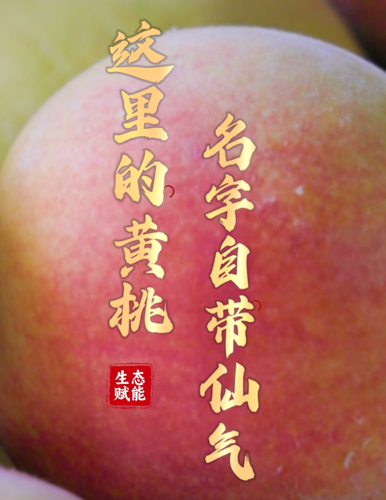 這里的黃桃，名字自帶仙氣