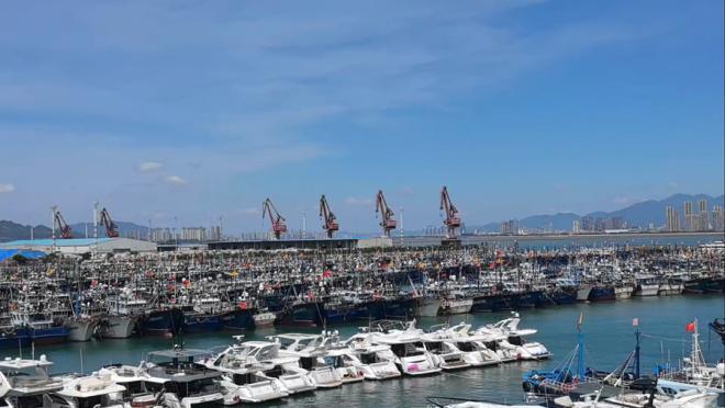 8月13日，在廈門高崎避風(fēng)塢，大量船舶已提前進(jìn)港避風(fēng)。福建省海事局供圖