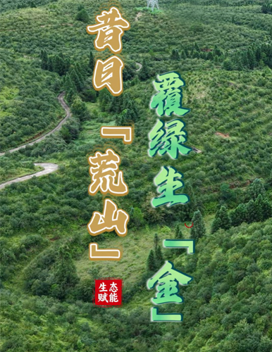 久久為功，終見綠滿山川