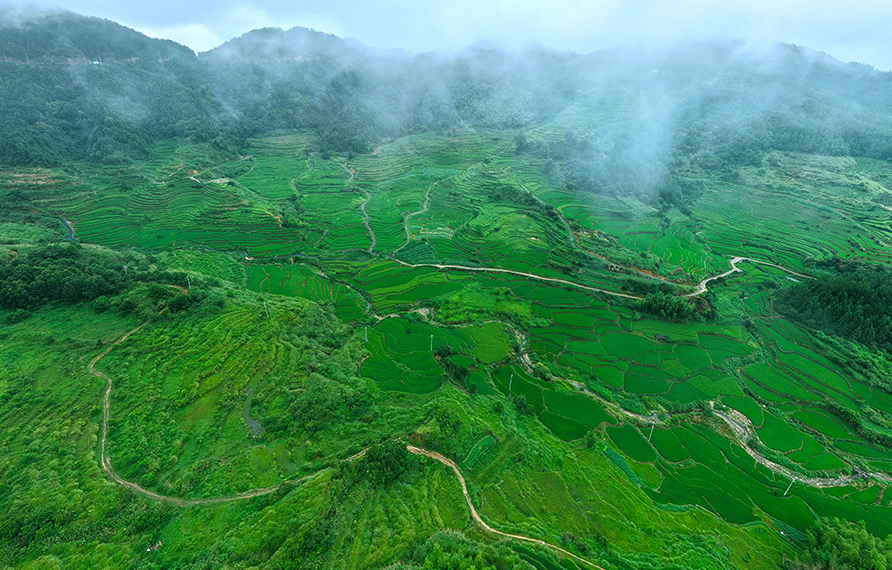 河龍鄉(xiāng)大洋梯田