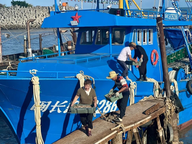 漁民將一筐筐海鮮從船上卸下