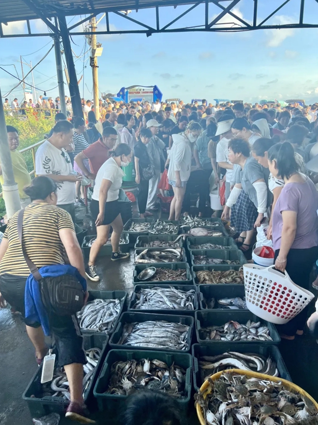 選購海貨的市民絡(luò)繹不絕