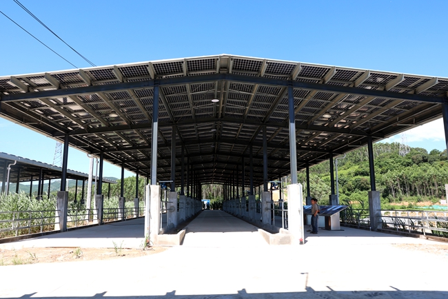 南方肉牛集散中心。沈東梅攝