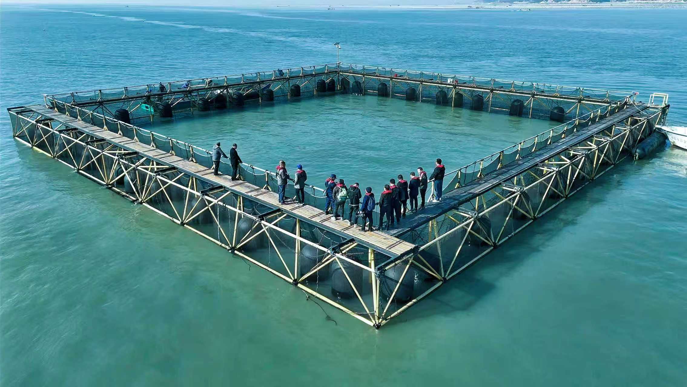 超大型深水養(yǎng)殖用網(wǎng)箱。詔安縣融媒體中心供圖