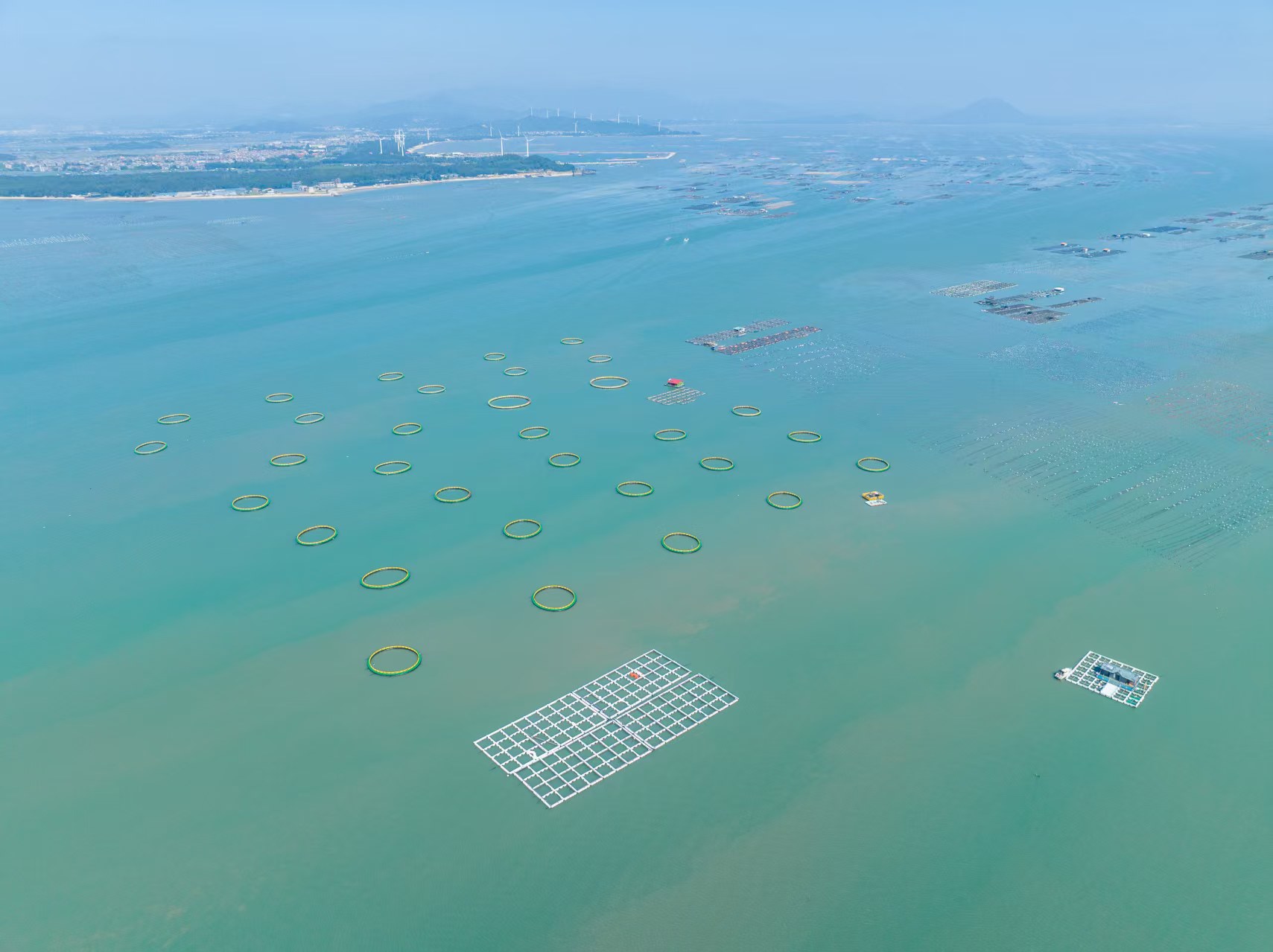 詔安縣梅嶺鎮(zhèn)下傅村深水網(wǎng)箱。詔安縣融媒體中心供圖