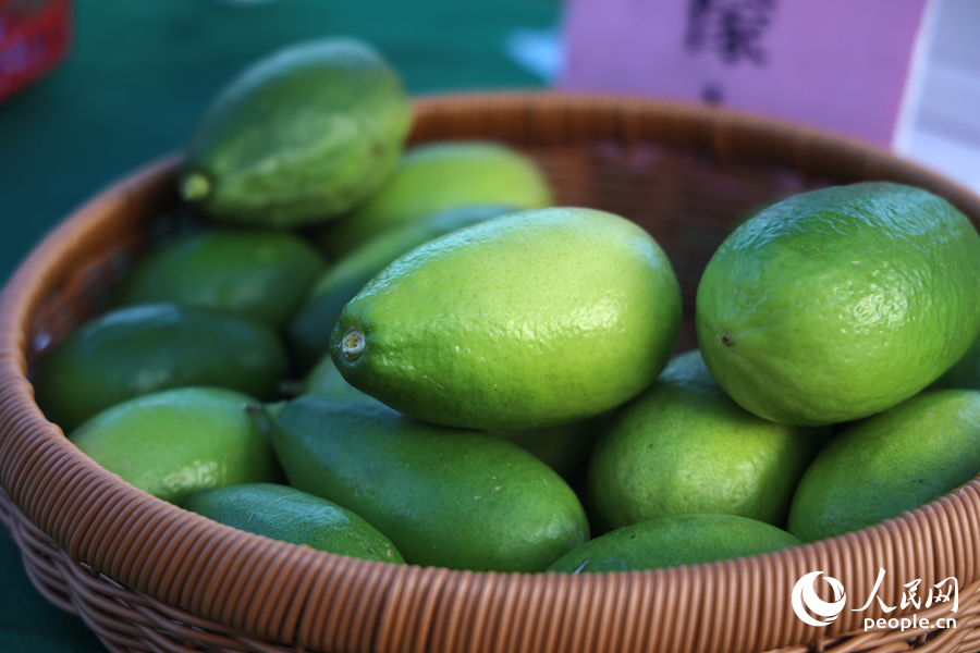 形似“子彈頭”的香水檸檬。人民網(wǎng)記者陳博攝