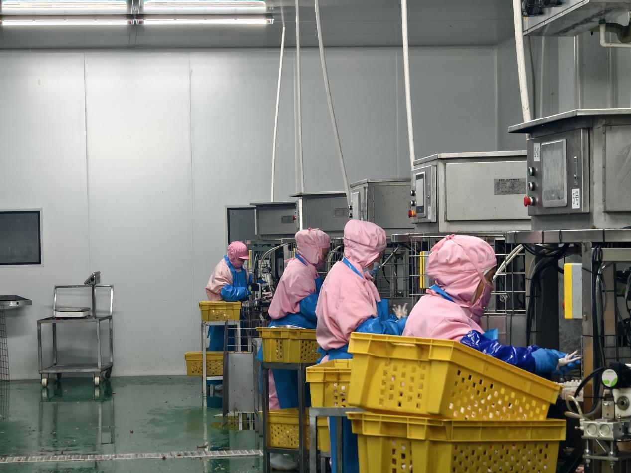 工人們身穿無(wú)菌防護(hù)服，操作著脫骨設(shè)備。崇興食品廠供圖