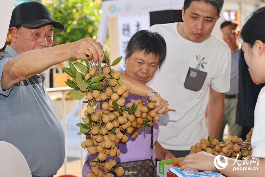 成串龍眼鮮果引人垂涎。人民網(wǎng)記者 陳博攝