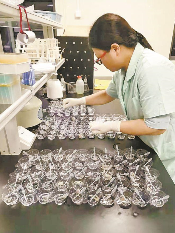 夏商中埔蔬菜批發(fā)市場對蔬菜開展食品安全抽樣檢測。