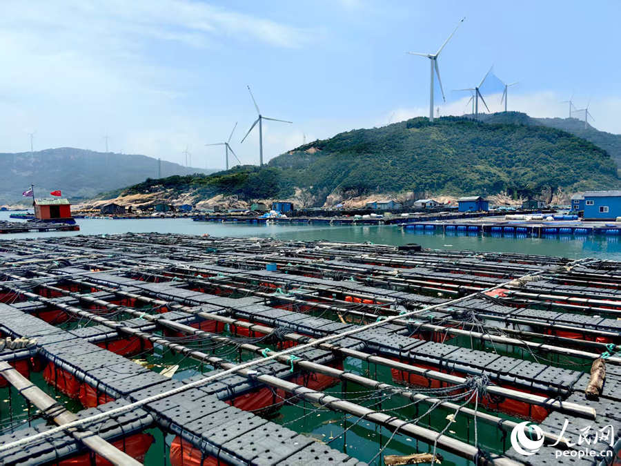 海上鮑魚養(yǎng)殖場(chǎng)。人民網(wǎng) 葉青卿攝