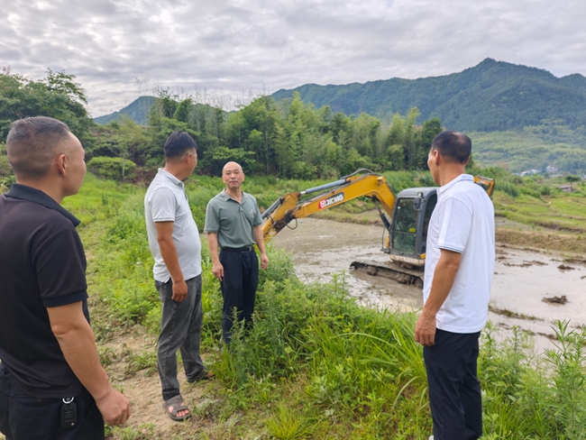 杉洋鎮(zhèn)寶橋村包村領(lǐng)導(dǎo)阮永斌和鄉(xiāng)賢林光耀查看“稻藥輪作”種植情況。張家豪攝