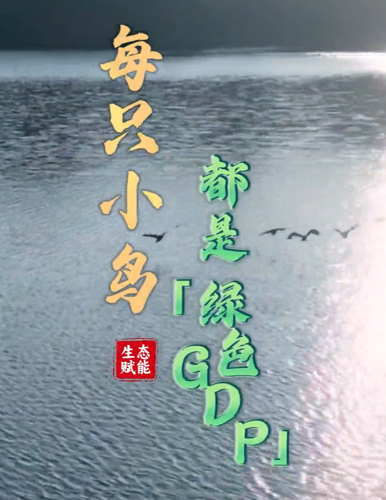 每一只小鳥，都是“綠色GDP”