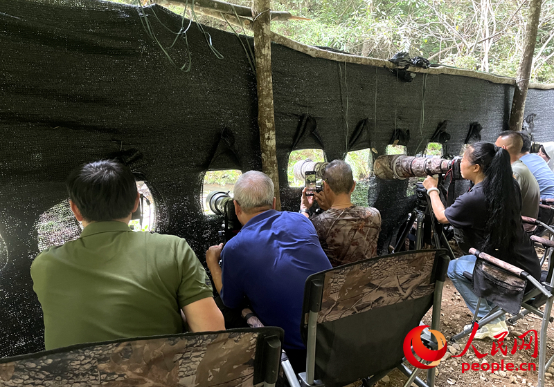 觀鳥點內(nèi)，觀鳥愛好者們拍攝珍稀鳥類身影。人民網(wǎng)記者 林盈攝