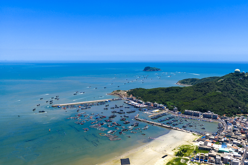 澳角村迎來開漁。呂以樂攝