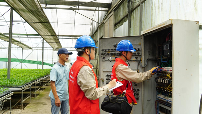 何澤奕和龔海林正在檢查百香果育苗大棚里的供電設(shè)備